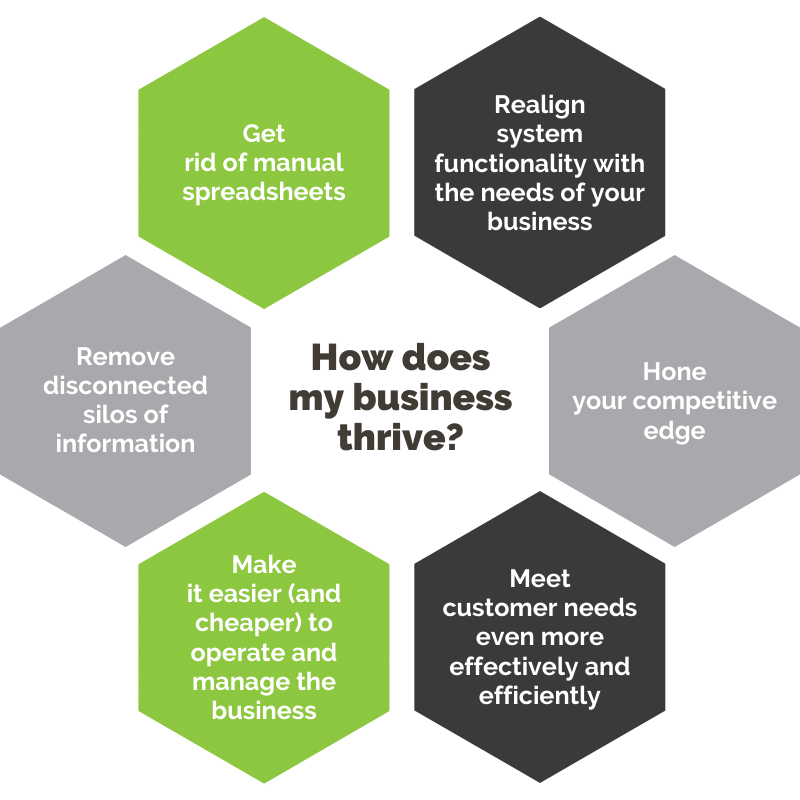 How does my business thrive