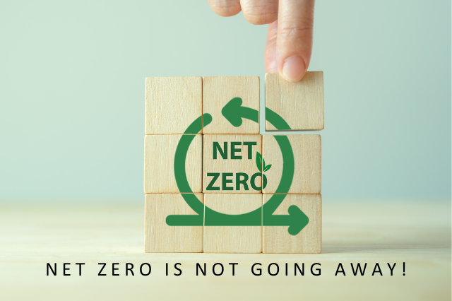 Image of net zero written on blocks